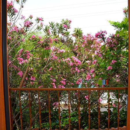 Villa Poseidon ดาลยัน ภายนอก รูปภาพ
