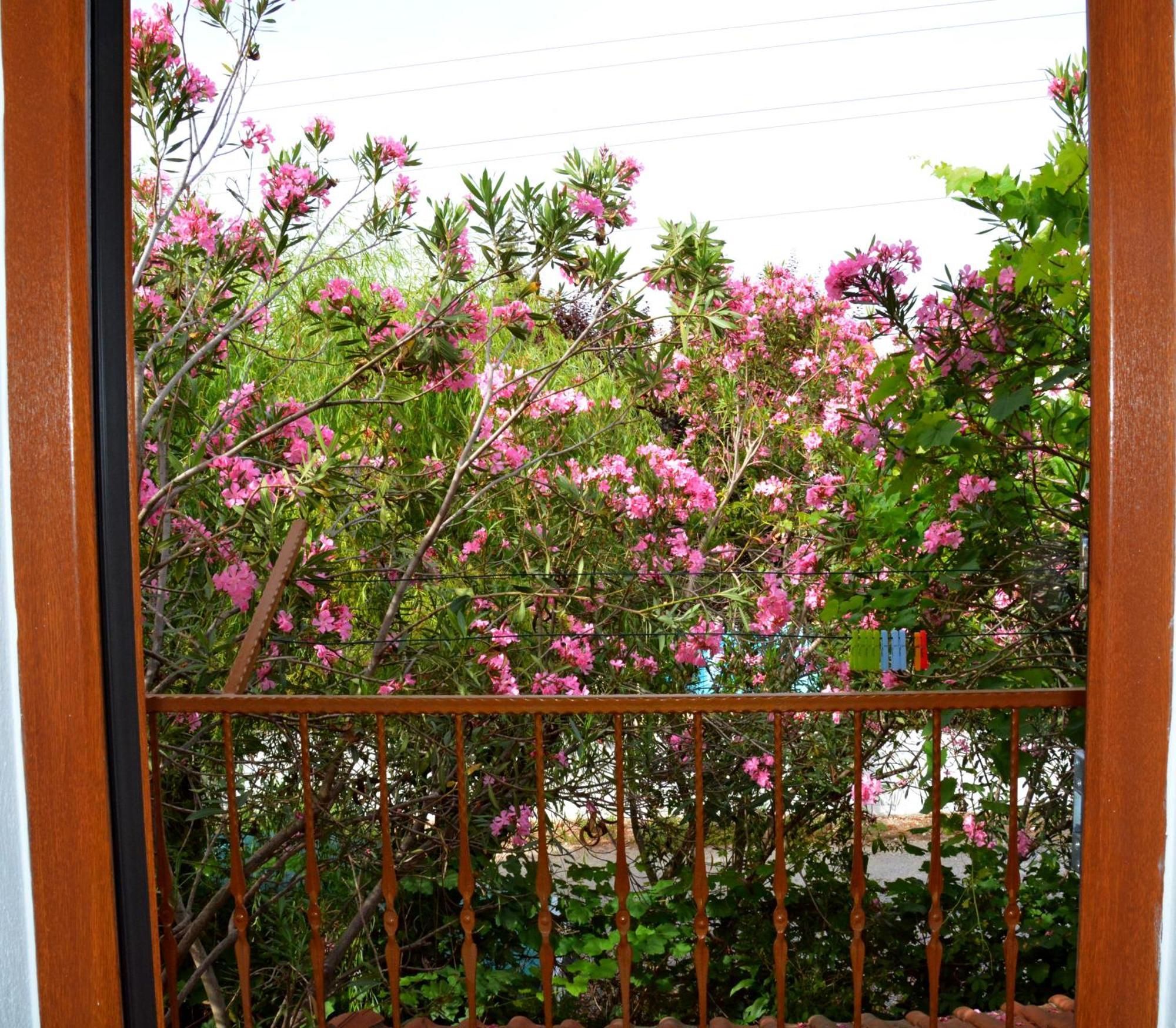 Villa Poseidon ดาลยัน ภายนอก รูปภาพ